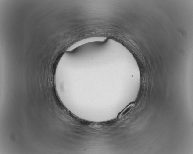 X0000111500419200908111250