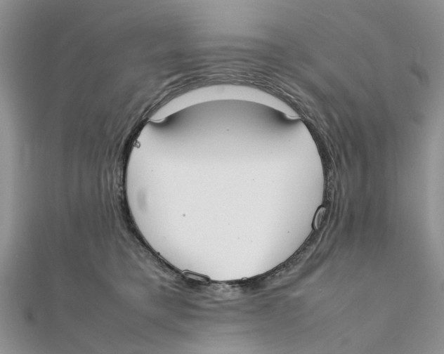 X0000111500421200908111250