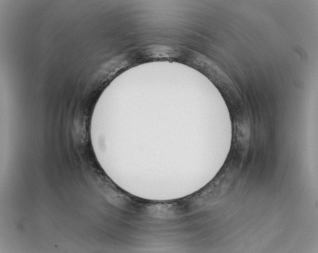 X0000111500422200908111250