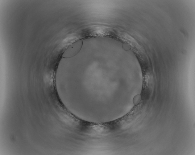 X0000111500423200908111250