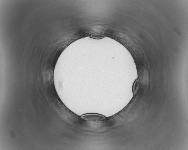 X0000111500425200908111250