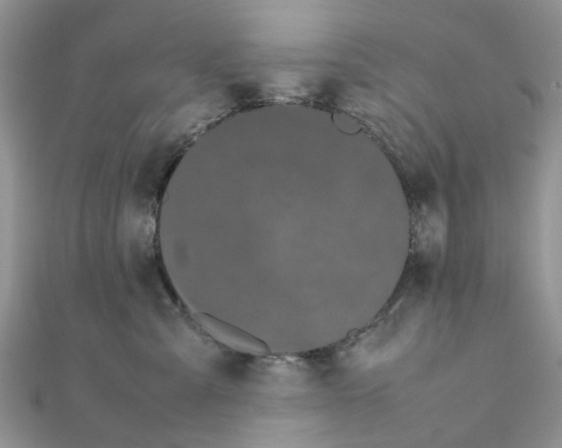 X0000111500427200908111250