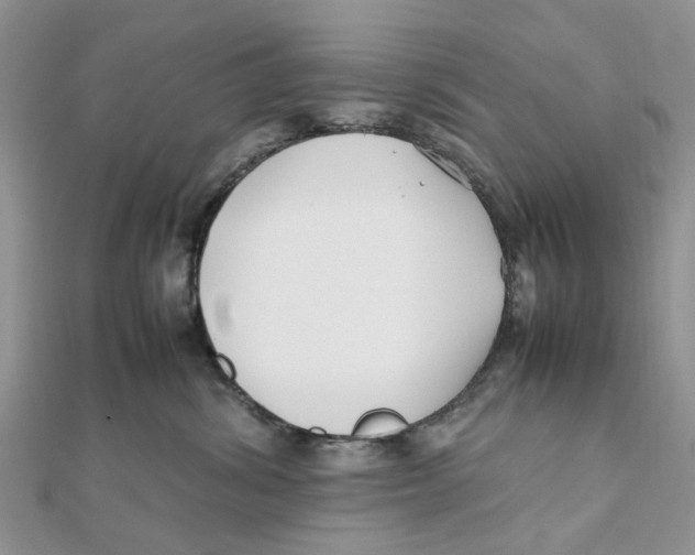 X0000111500428200908111250