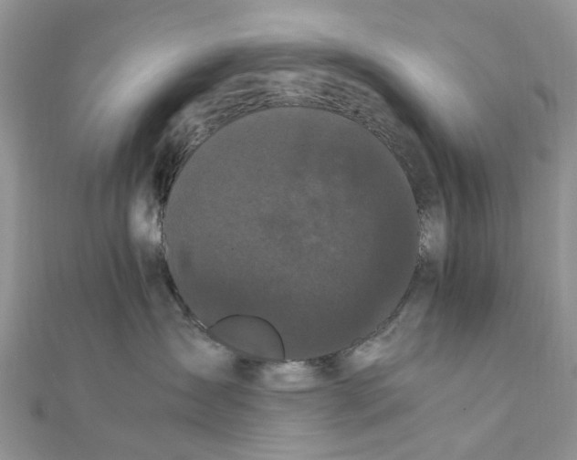 X0000111500431200908111250