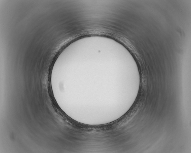 X0000111500434200908111250