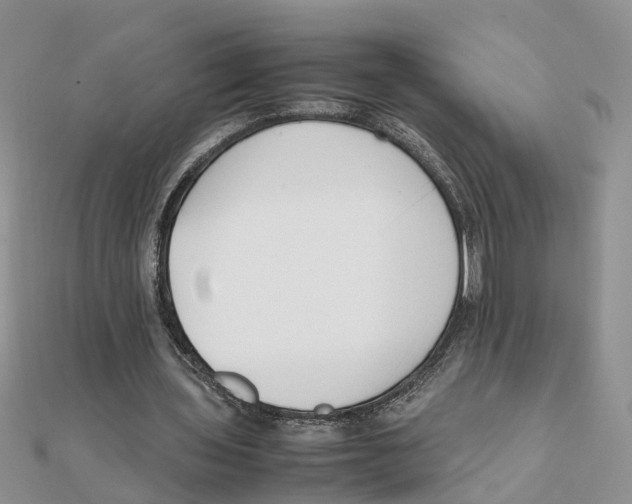 X0000111500435200908111250