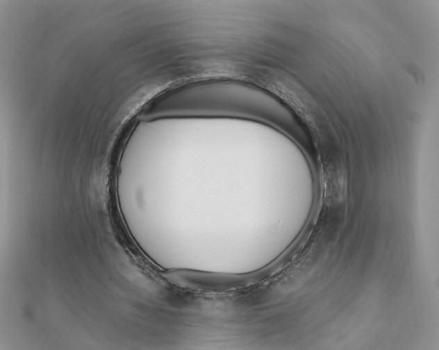 X0000111500436200908111250