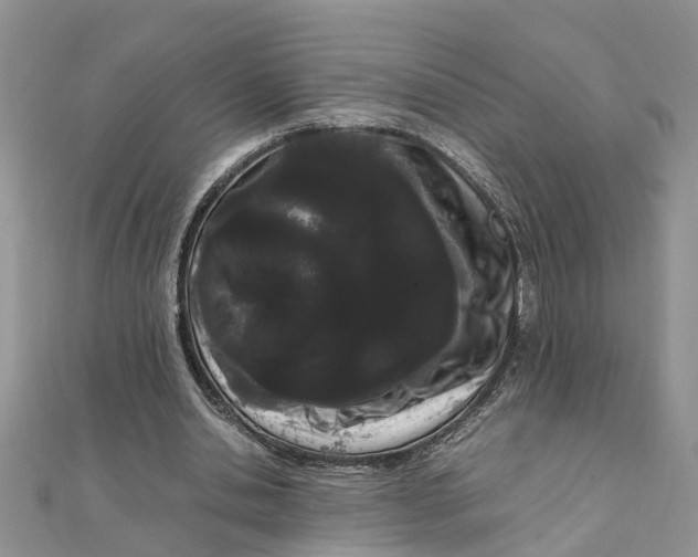 X0000111500438200908111250