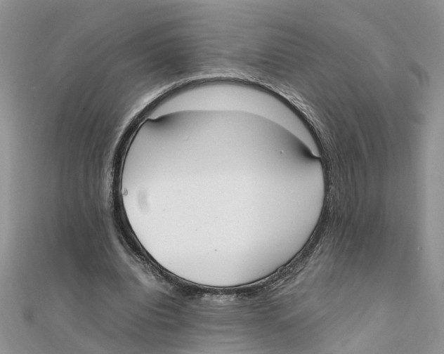 X0000111500440200908111250