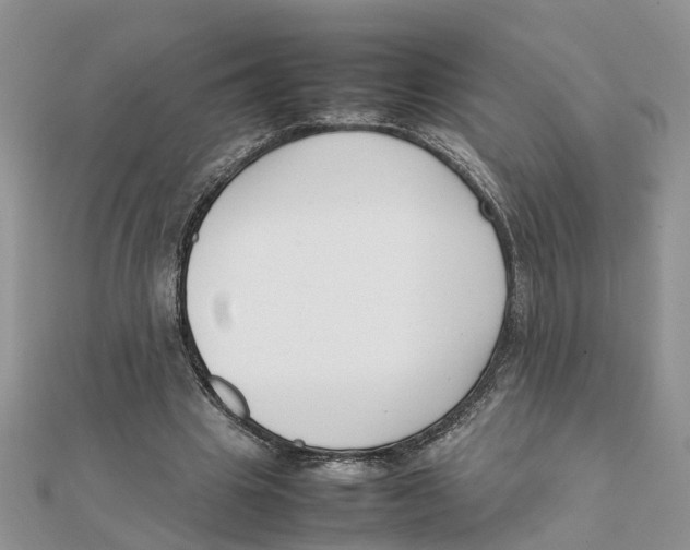 X0000111500441200908111250