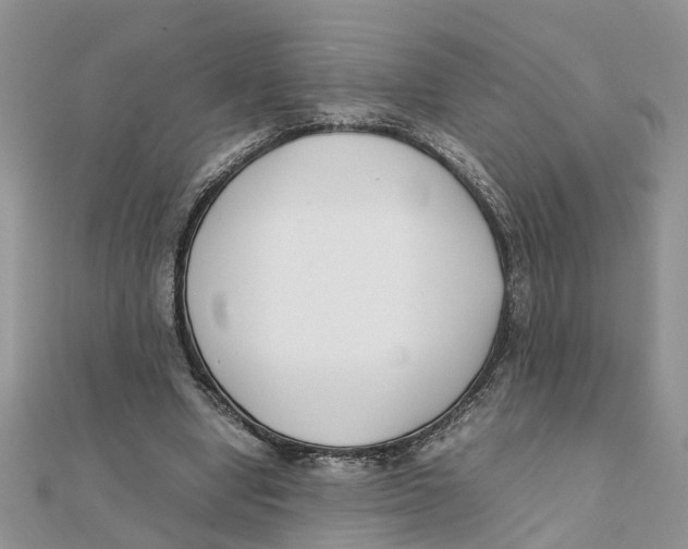 X0000111500442200908111250