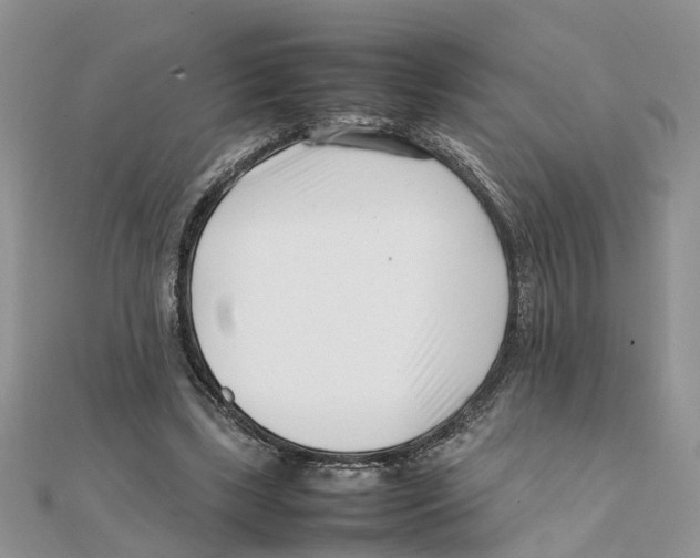 X0000111500443200908111250