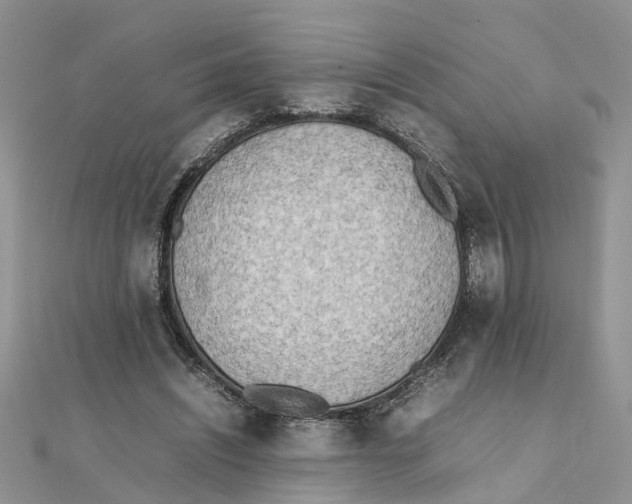 X0000111500444200908111250