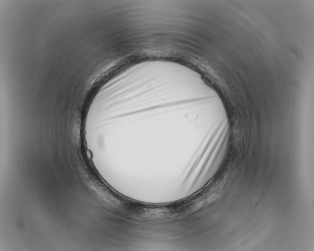 X0000111500446200908111250