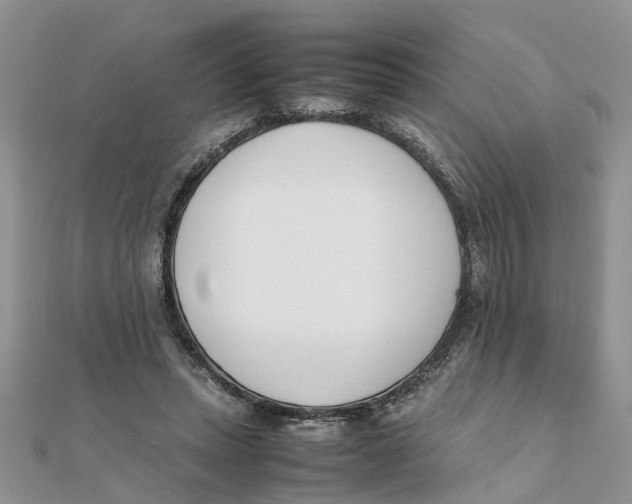 X0000111500447200908111250