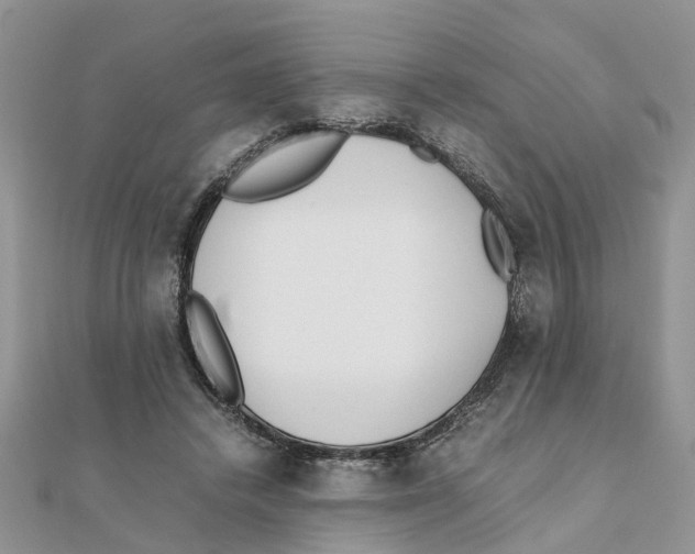 X0000111500448200908111250