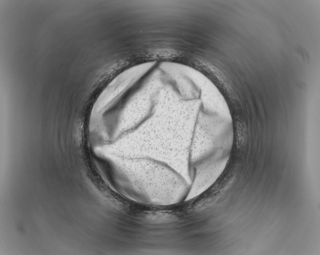 X0000111500451200908111250