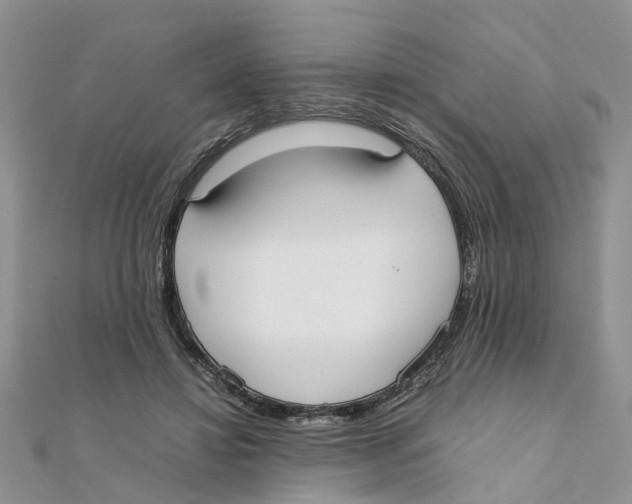 X0000111500452200908111250