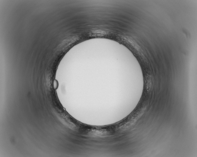 X0000111500455200908111250