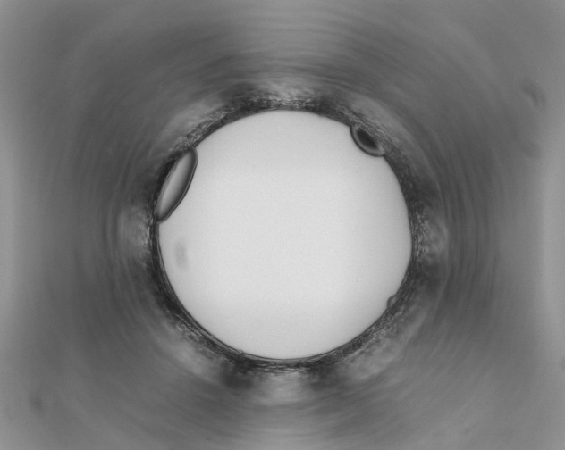 X0000111500456200908111250