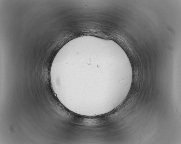 X0000111500457200908111250