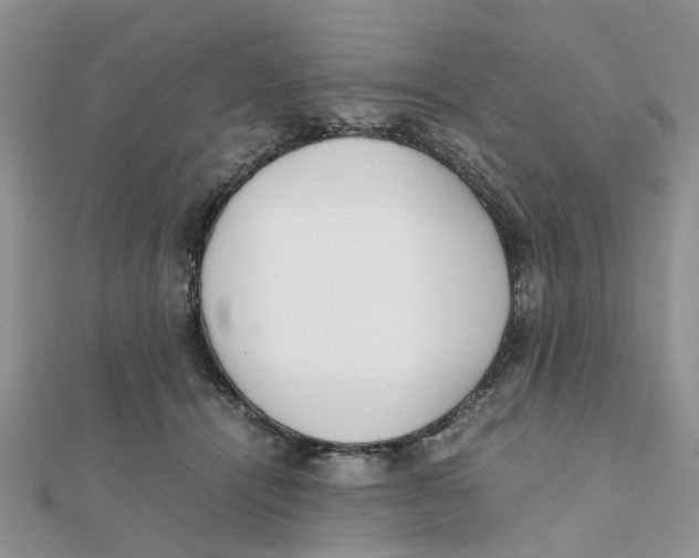 X0000111500464200908111250