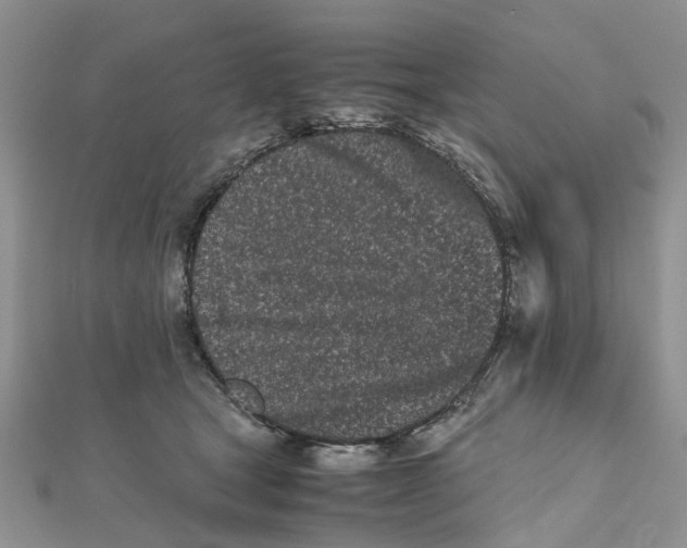 X0000111500465200908111250