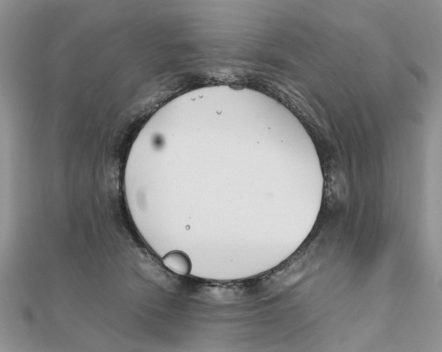 X0000111500466200908111250