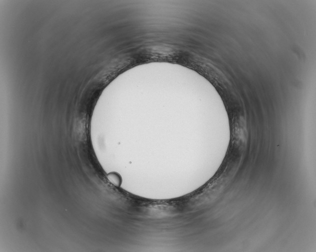 X0000111500468200908111250