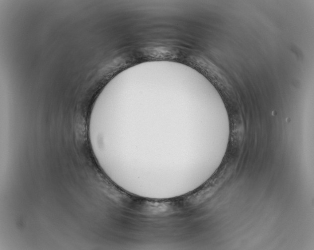 X0000111500469200908111250