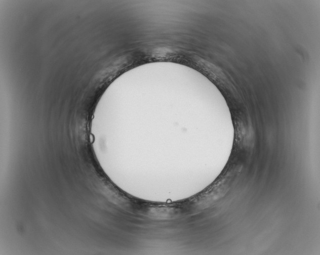 X0000111500470200908111250