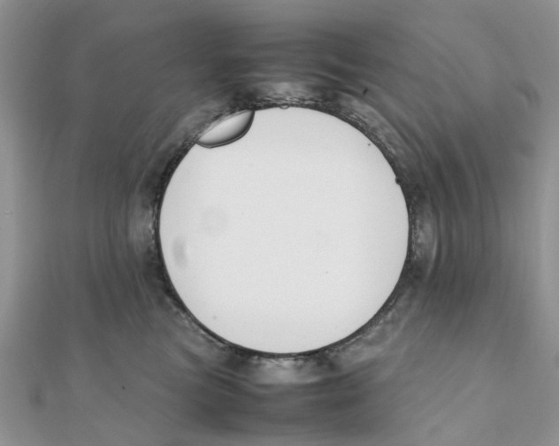 X0000111500473200908111250