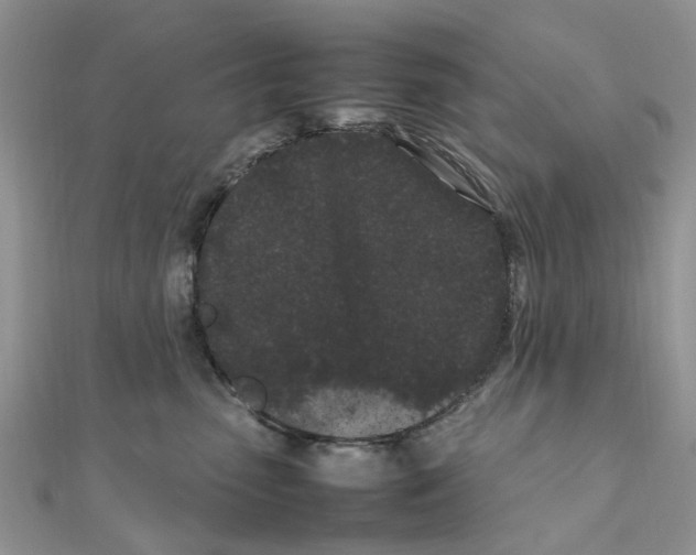 X0000111500475200908111250