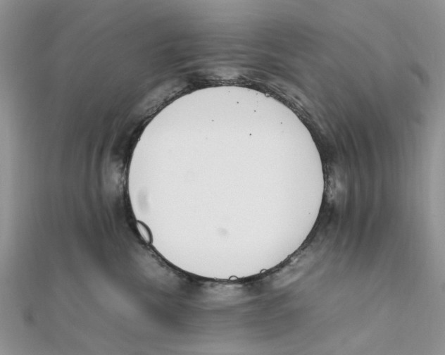 X0000111500476200908111250