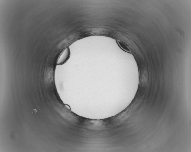 X0000111500478200908111250