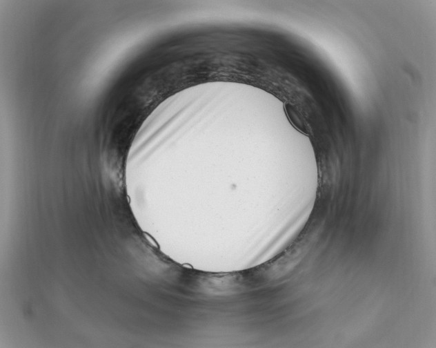 X0000111500479200908111250