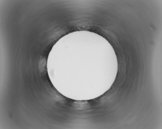 X0000111500480200908111250