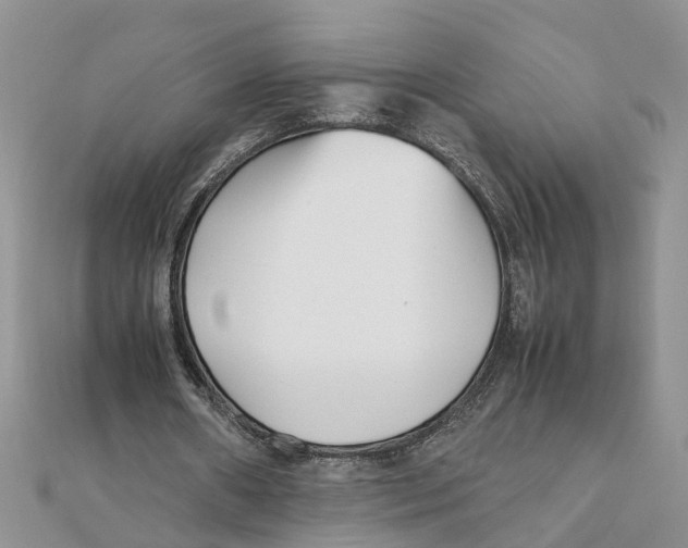 X0000111500482200908111250