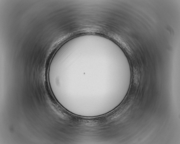 X0000111500486200908111250