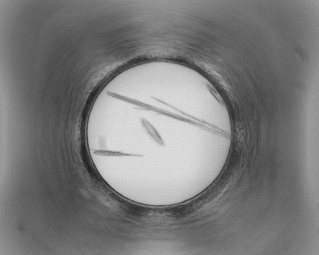 X0000111500487200908111250