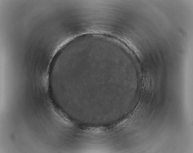 X0000111500488200908111250