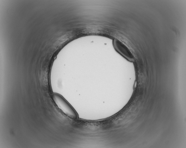 X0000111500489200908111250