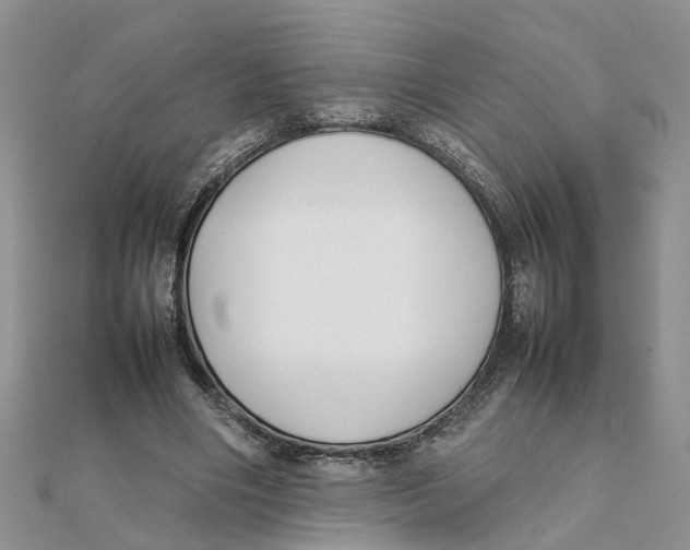 X0000111500490200908111250