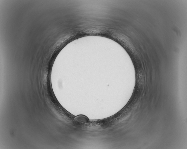 X0000111500491200908111250