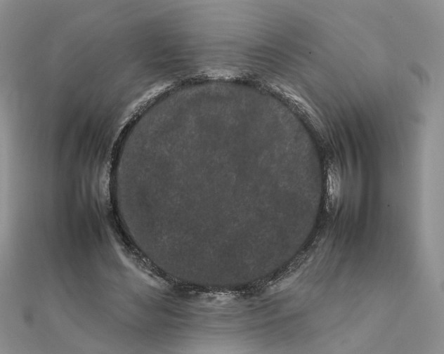 X0000111500492200908111250