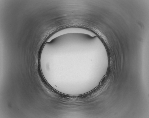 X0000111500493200908111249