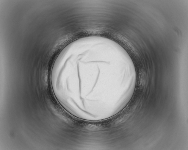 X0000111500494200908111249