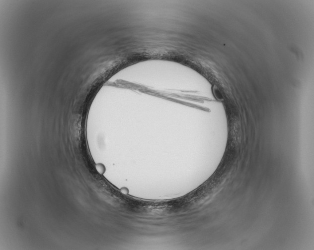 X0000111500495200908111249