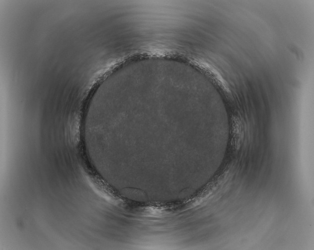 X0000111500496200908111249