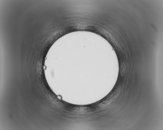 X0000111500497200908111249